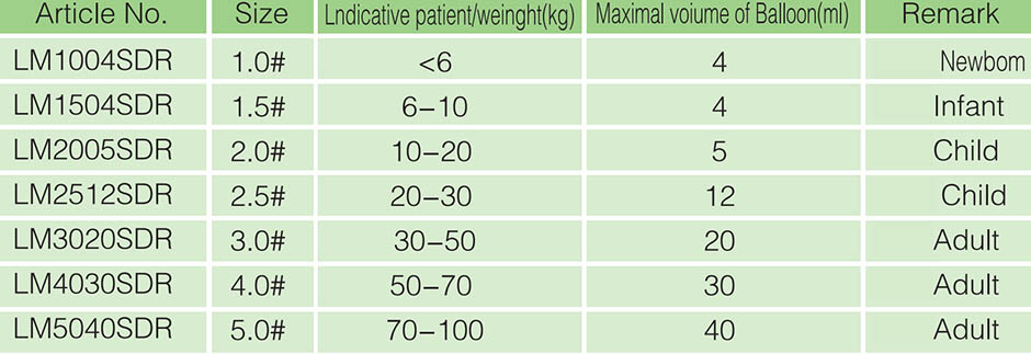 Laryngeal Mask Airway with Epiglottis Bar